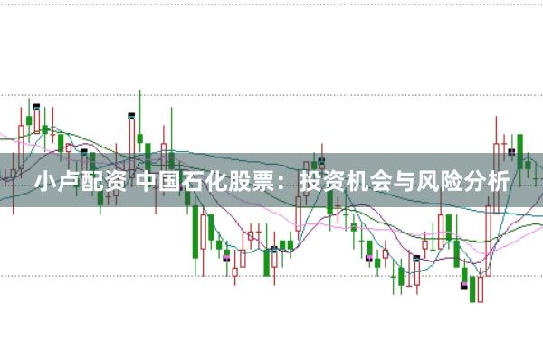 小卢配资 中国石化股票：投资机会与风险分析