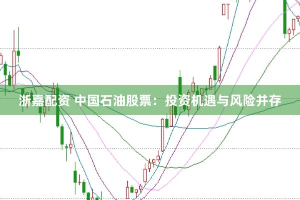 浙嘉配资 中国石油股票:投资机遇与风险并存
