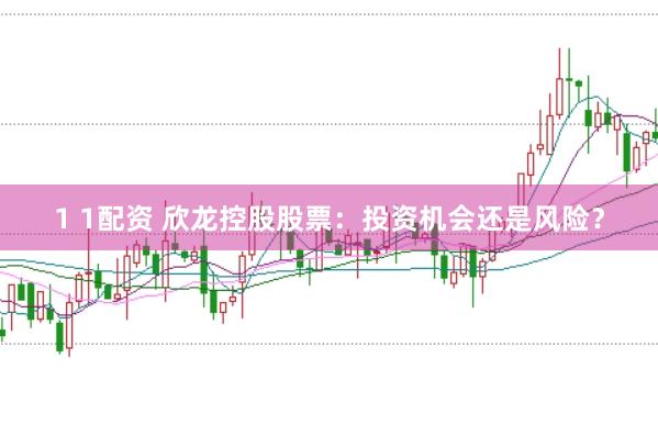 1 1配资 欣龙控股股票：投资机会还是风险？