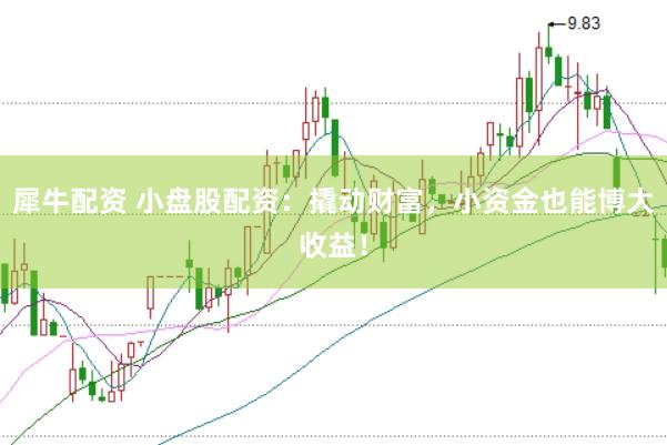 犀牛配资 小盘股配资:撬动财富,小资金也能博大收益!