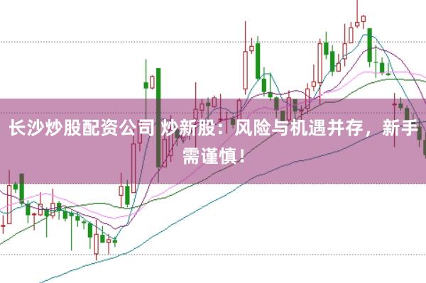 长沙炒股配资公司 炒新股:风险与机遇并存,新手需谨慎!