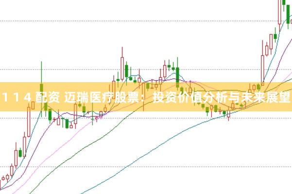 1 1 4 配资 迈瑞医疗股票:投资价值分析与未来展望
