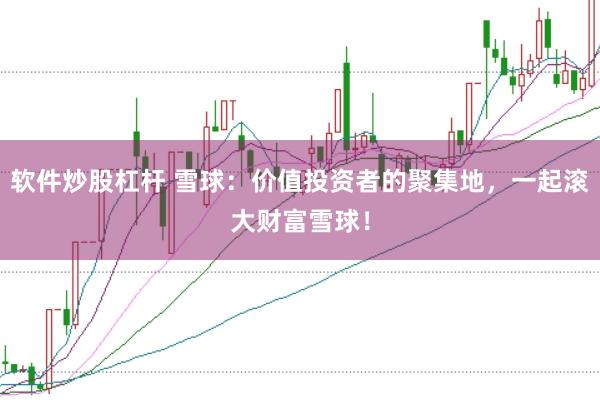 软件炒股杠杆 雪球：价值投资者的聚集地，一起滚大财富雪球！
