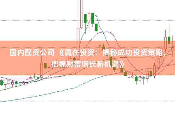 国内配资公司 《赢在投资：揭秘成功投资策略，把握财富增长新机遇》