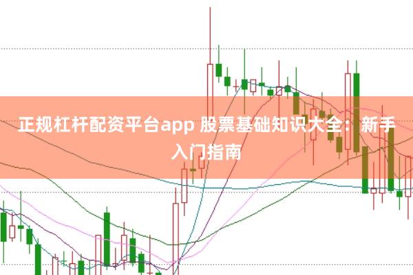 正规杠杆配资平台app 股票基础知识大全：新手入门指南