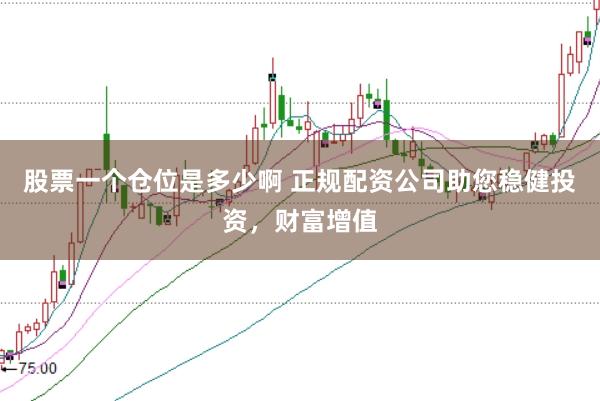 股票一个仓位是多少啊 正规配资公司助您稳健投资，财富增值